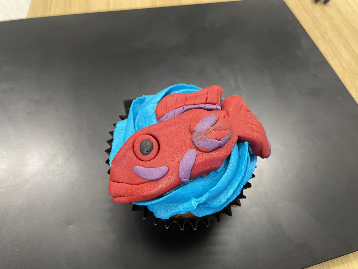 JoeNeate1's tweet photo. Not sure who brought these in today but:
1. I love you
2. There was only one correct choice https://t.co/aHGRiHMcFk