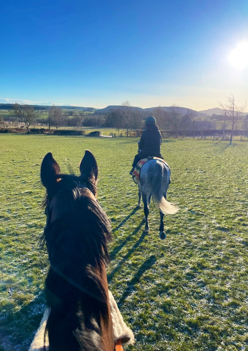 Blue skies and frosty mornings this week ❄️