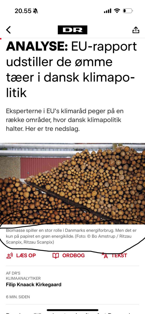 Morten Haulik ᯅ tweet media