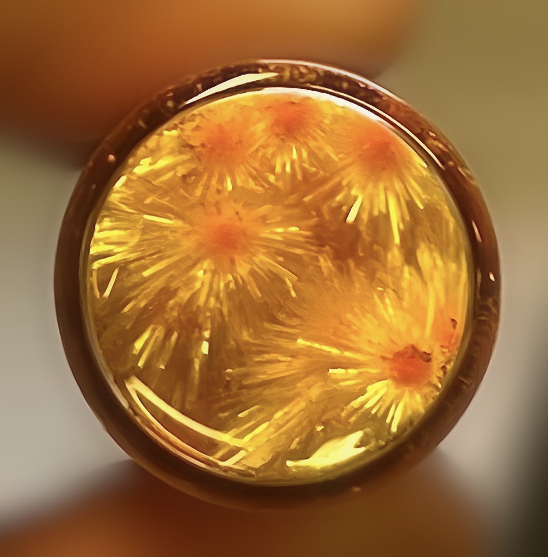 e_tacke's tweet image. Growing sunflower crystals 🌻
@ICSN_lab
#ChemTwitter #RealTimeChem #phdlife