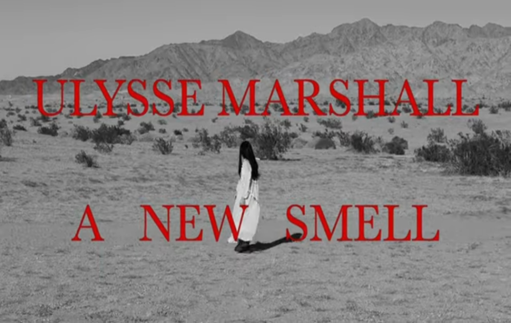 fabrizio_lusso's tweet photo. WL//WH Video Of The Day: ULYSSE MARSHALL "A New Smell" (Official Video) https://t.co/4xah76wkmV via @fabrizio_lusso #ulyssemarshall #alternative #darkwave #independent #newwave #indierock  #post_punk #synth #synthpop #Lausanne #switzerland https://t.co/xvQGnhMJKh
