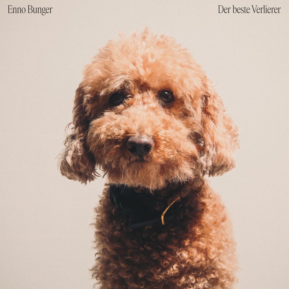 Mein fünftes Studioalbum ist jetzt raus. Hier könnt Ihr es hören: 
ennobunger.ffm.to/der_beste_verl…
🥹❤️