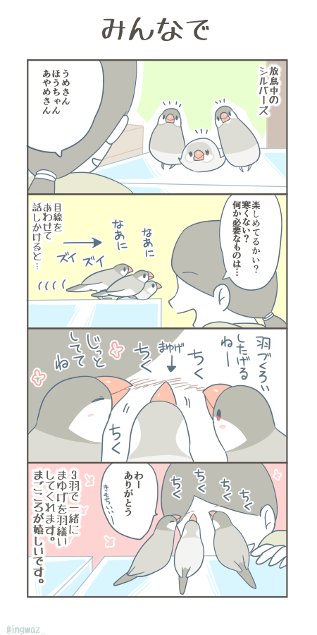 みんなで。 シルバーズ三きょうだい、とっても優しいです。  #漫画が読めるハッシュタグ #Buncho #文鳥