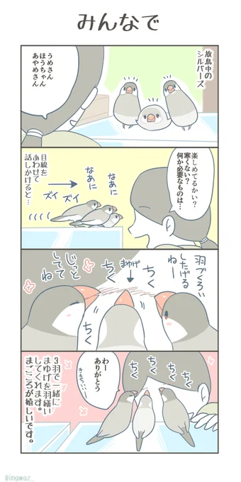 みんなで。 シルバーズ三きょうだい、とっても優しいです。  #漫画が読めるハッシュタグ #Buncho #文鳥