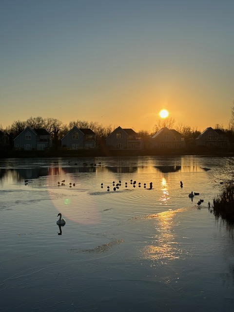 Watermark Holidays tweet media