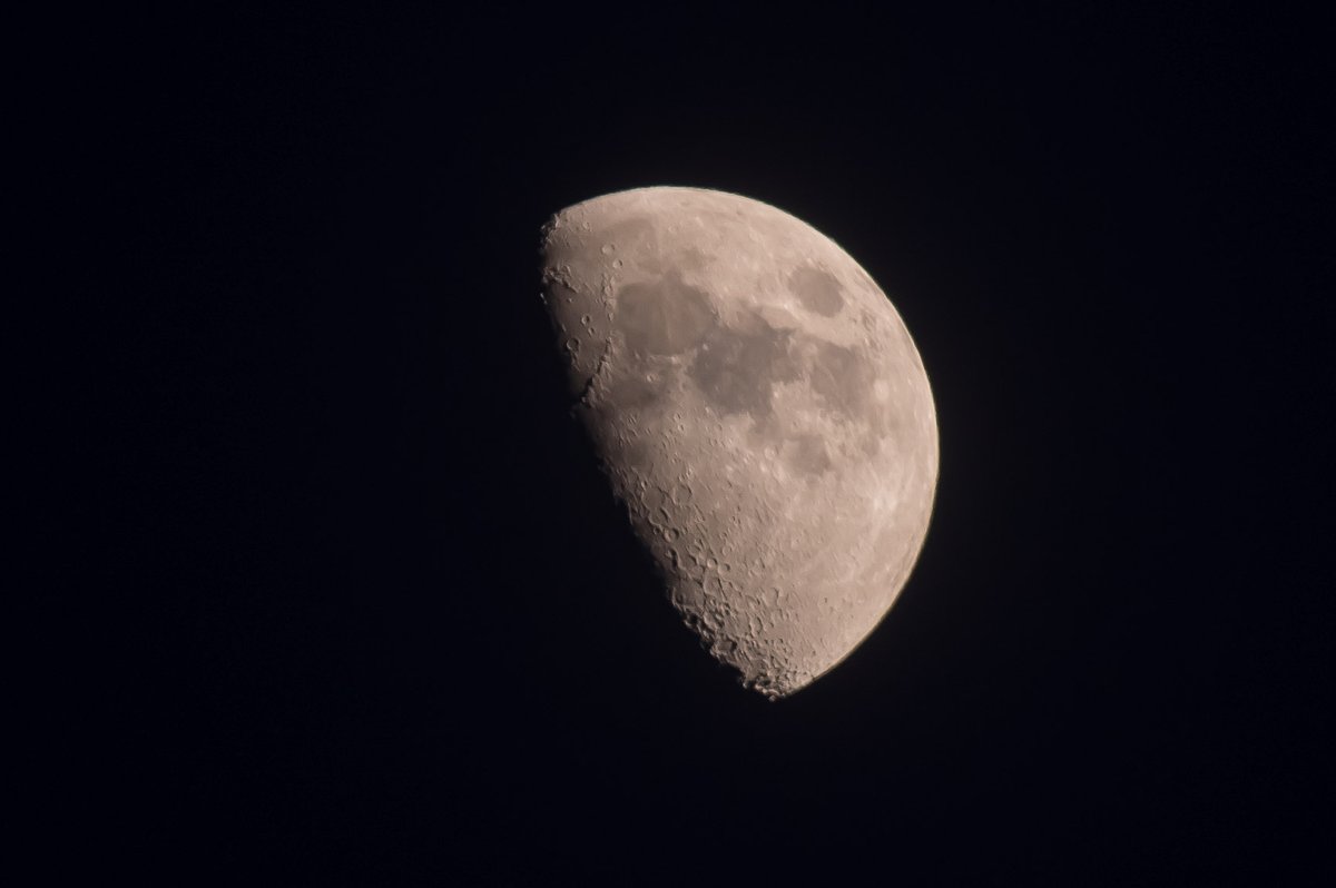 shogetsuan's tweet photo. 今日の月🌓
月齢7.9、上弦の月を過ぎた半月🌓
今夜、日本の月面着陸機(無人)が日本史上初の月面着陸をするそうです🌓✨
こういう夢のある話いいですね👍✨🌓
https://t.co/KzRrk3GBa2
#イマソラ #イマツキ #半月 #月が綺麗ですね #halfmoon #half_moon https://t.co/7iIRVmVuVn