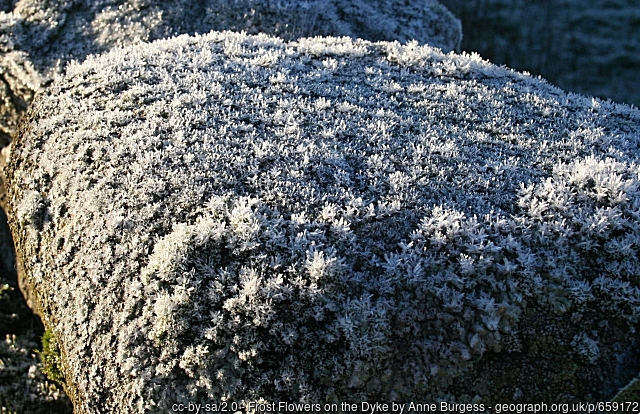 logainm_ie's tweet photo. Cloch an tSeaca / ​Cloghatacka i Luimneach
"the stone of the frost"🥶❄️
https://t.co/gukW1l6Rti
#sioc #sneachta #logainm https://t.co/nPKhdW6amr
