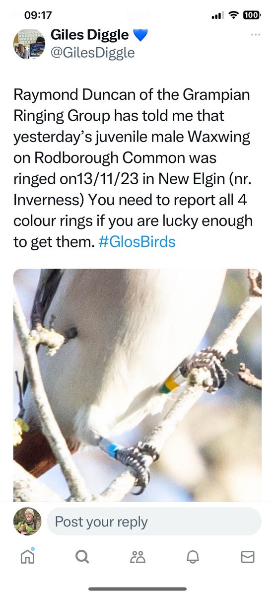 <a href="/StruthJones/">Ruth Jones 🇨🇦🇺🇦🇬🇱@struthjones.bsky.social</a> <a href="/WaxwingsUK/">WaxwingsUK</a> <a href="/_BTO/">BTO</a> <a href="/BTO_Scotland/">BTO Scotland</a>