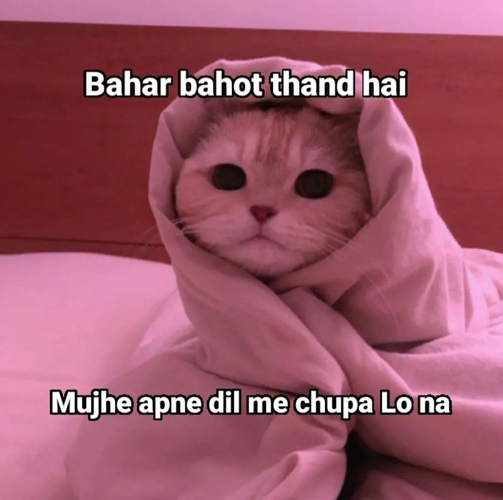 Koi ha ase bndii👀🫣
