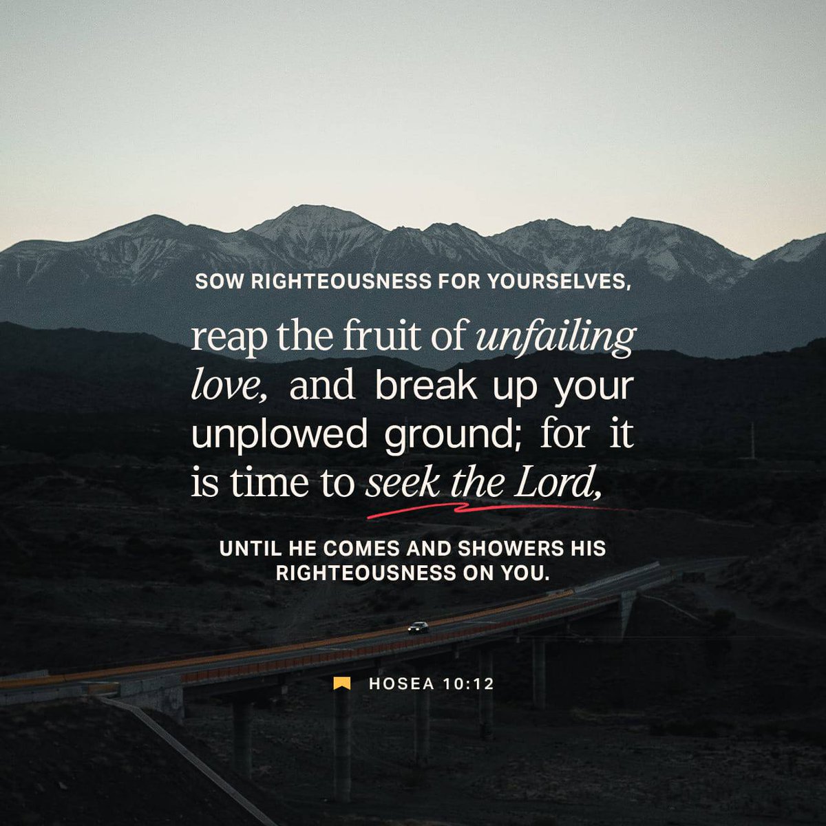Stalwart2016's tweet photo. Verse of the day https://t.co/ynKCvy1LIN