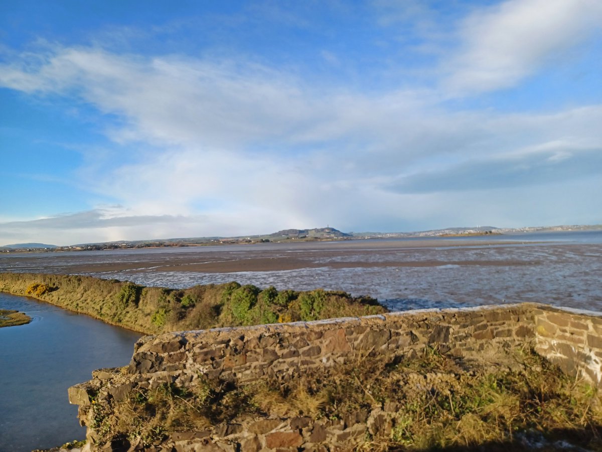 Castle Espie was lovely yesterday, it felt a bit like I was wandering around Skyrim. #wwt #castleespie #nireland #ireland