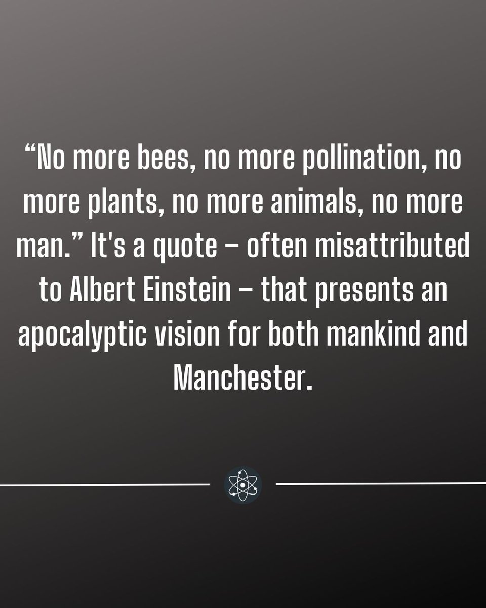 Albert Einstein Quote about Bees..
#Einstein #quotes #bee #lifeonearth #animallife #facts #factsyoudidntknow #viral #sciquestorg