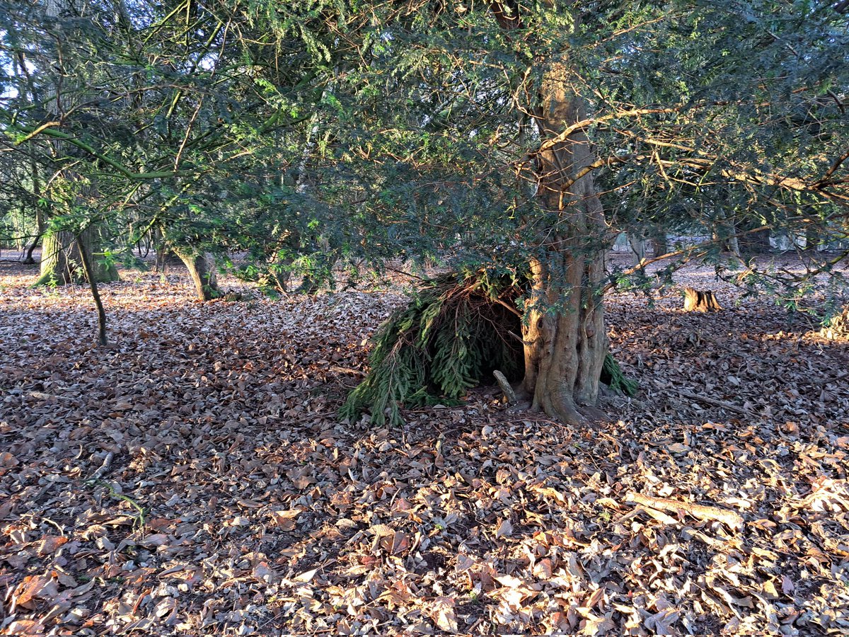 Dauntsey's Partnerships tweet media