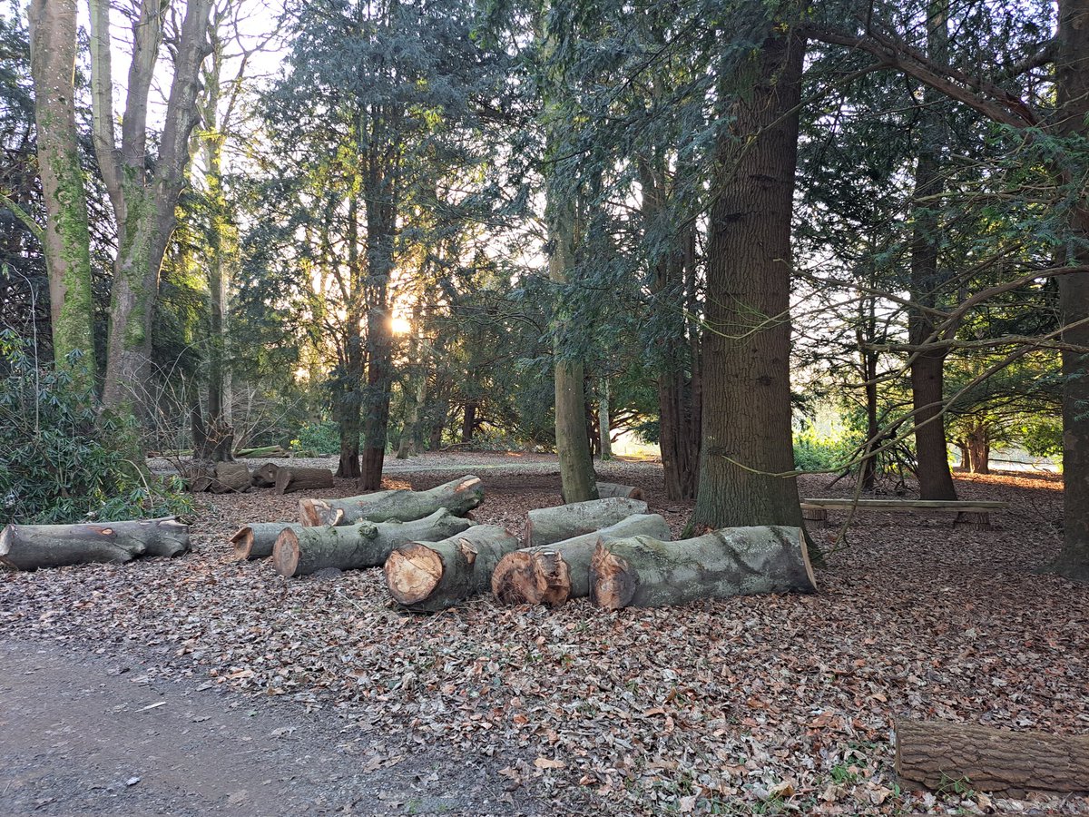 Dauntsey's Partnerships tweet media