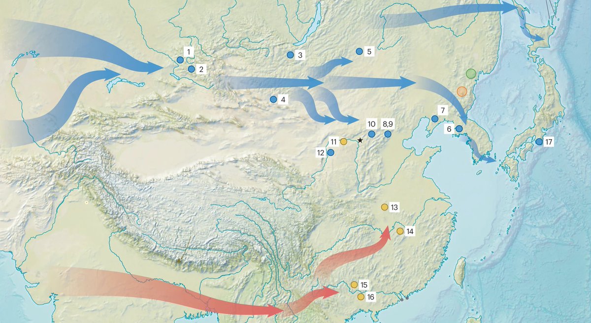 A multidisciplinary study of the Shiyu site in northern China reveals a complex human behavioural record that currently is the oldest of its kind in Northeast Asia and provides insight into the nature of the northward dispersal of modern humans across Asia rdcu.be/dwpkx