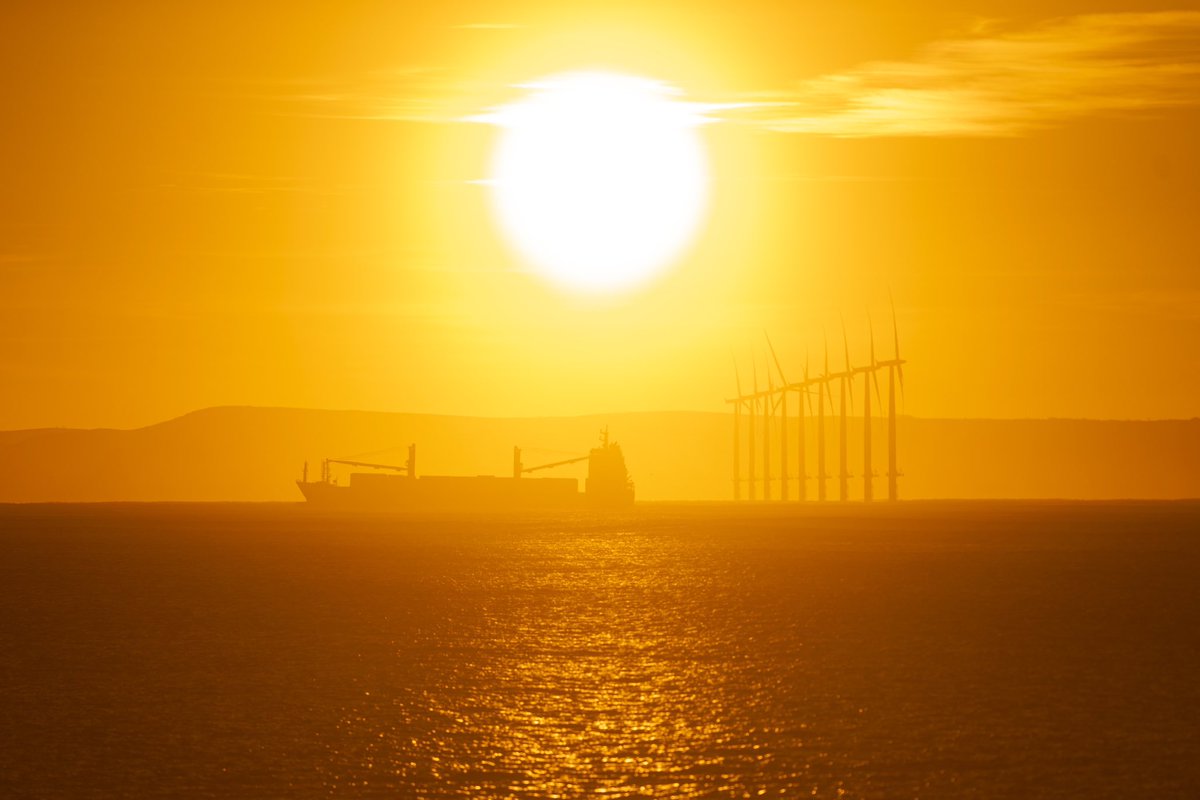 Jordan Crosby tweet media