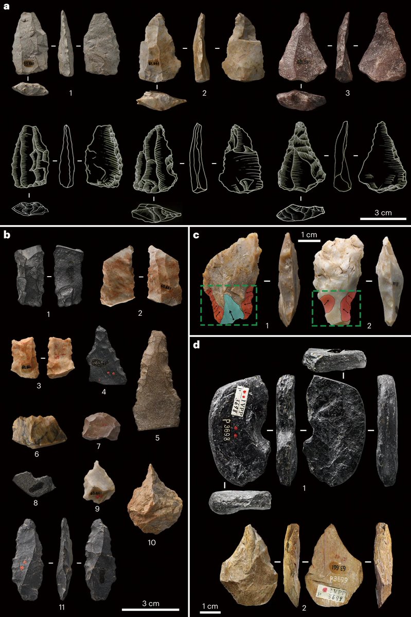 Initial Upper Palaeolithic material culture by 45,000 years ago at Shiyu in northern China rdcu.be/dwpkO