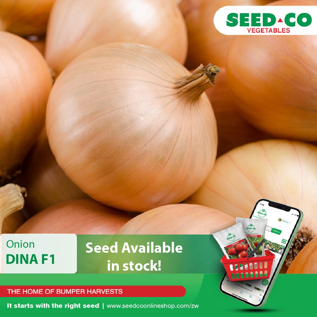 Seed Co Vegetables Zim tweet media