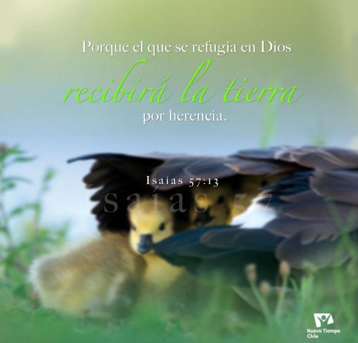 Dios no puede ofrecer la paz a los que no quieren escuchar el reproche divino, que son voluntariosos e indóciles, y que se han propuesto continuar en sus propios caminos. No puede curarlos porque no quieren reconocer que necesitan curación. EGW
Isaías 57 #rpsp