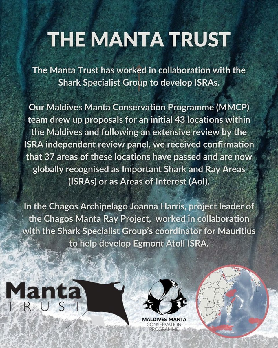 ‼️ Important Shark and Ray Areas (ISRAs) The ISRAs initiative addresses the global extinction crisis faced by sharks and rays. The Manta Trust have worked with the Shark Specialist Group to develop regional ISRAs. The eAtlas is now available online: bit.ly/48PLu4Y