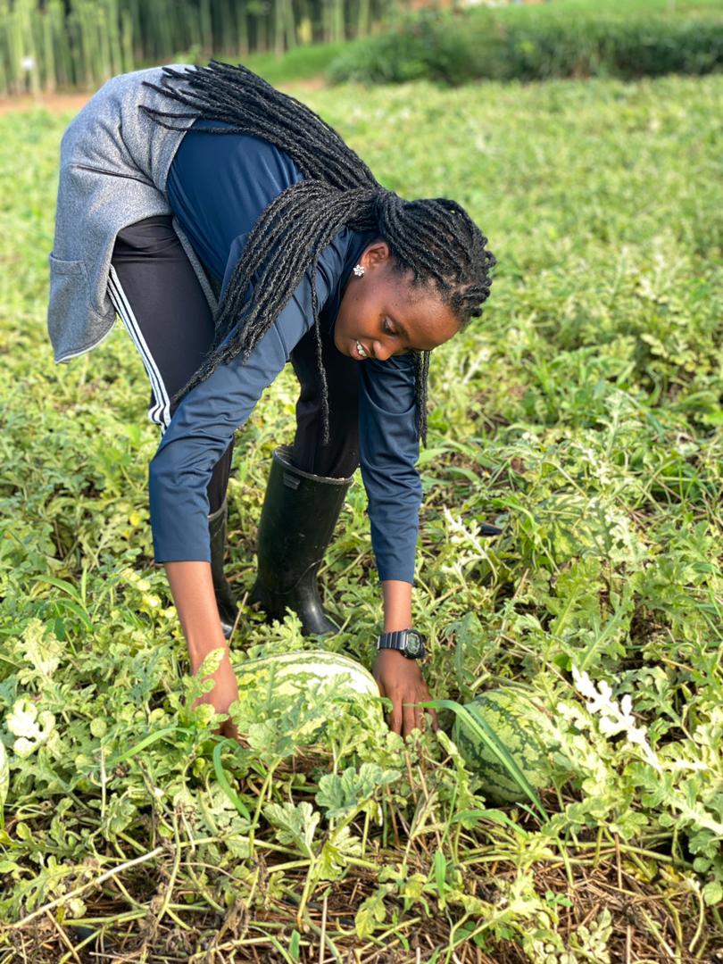 Good agriculture practice , Better yields. #Youth in agriculture