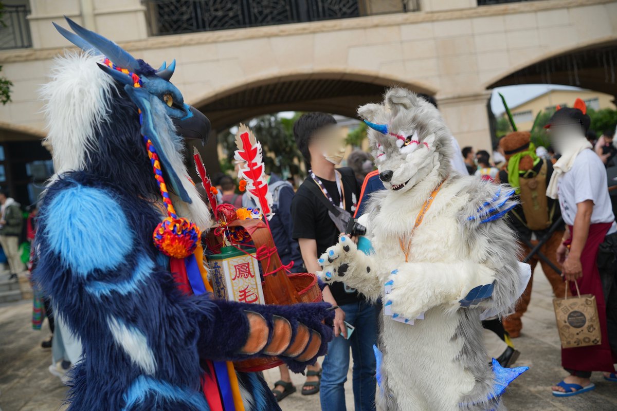 光牙 and Fulgur meeting🦅🐍 <a href="/Fulgur17/">Fulgur</a> 💗
（📷 <a href="/loves915624/">~閒狼的世界~</a>　) #FursuitFriday  #Infurnity2023