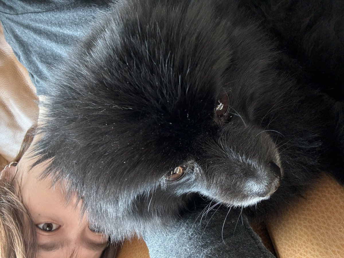 김유겸 tweet media