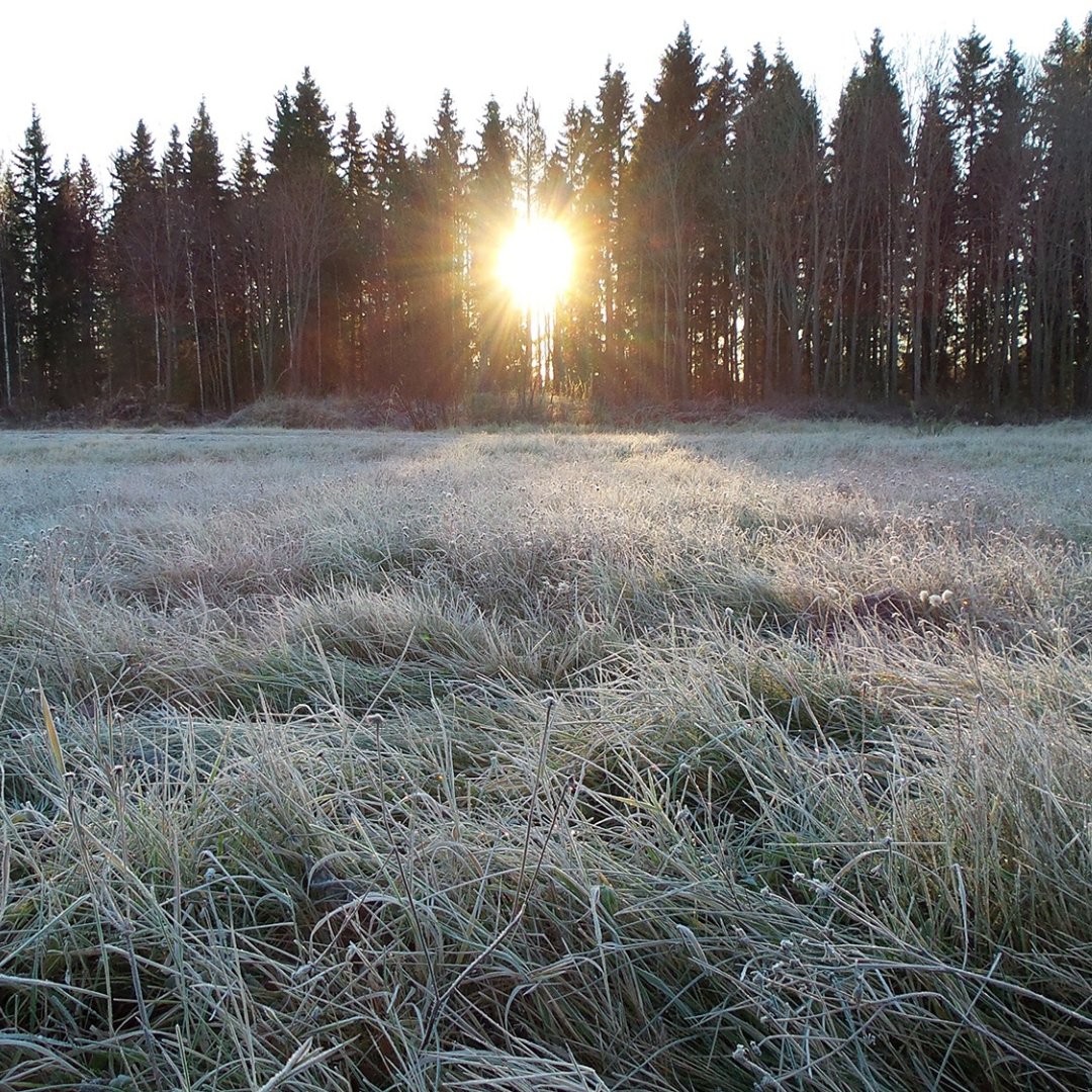 mikepagan15's tweet image. As we bundle up and conclude the week, let&apos;s cozy up to the warmth of positive highlights. What chilly moments brought warmth to your week?

Share your wins, big or small, and let&apos;s spread the warmth within our network.

#FrostyFriday #PositiveReflections #Friday