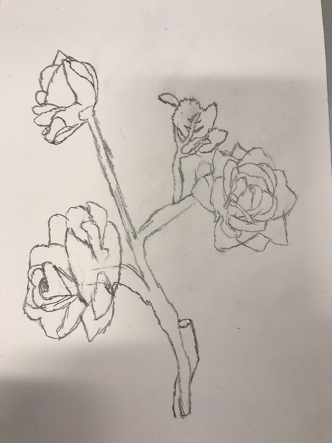 Alness Academy Art Department tweet media