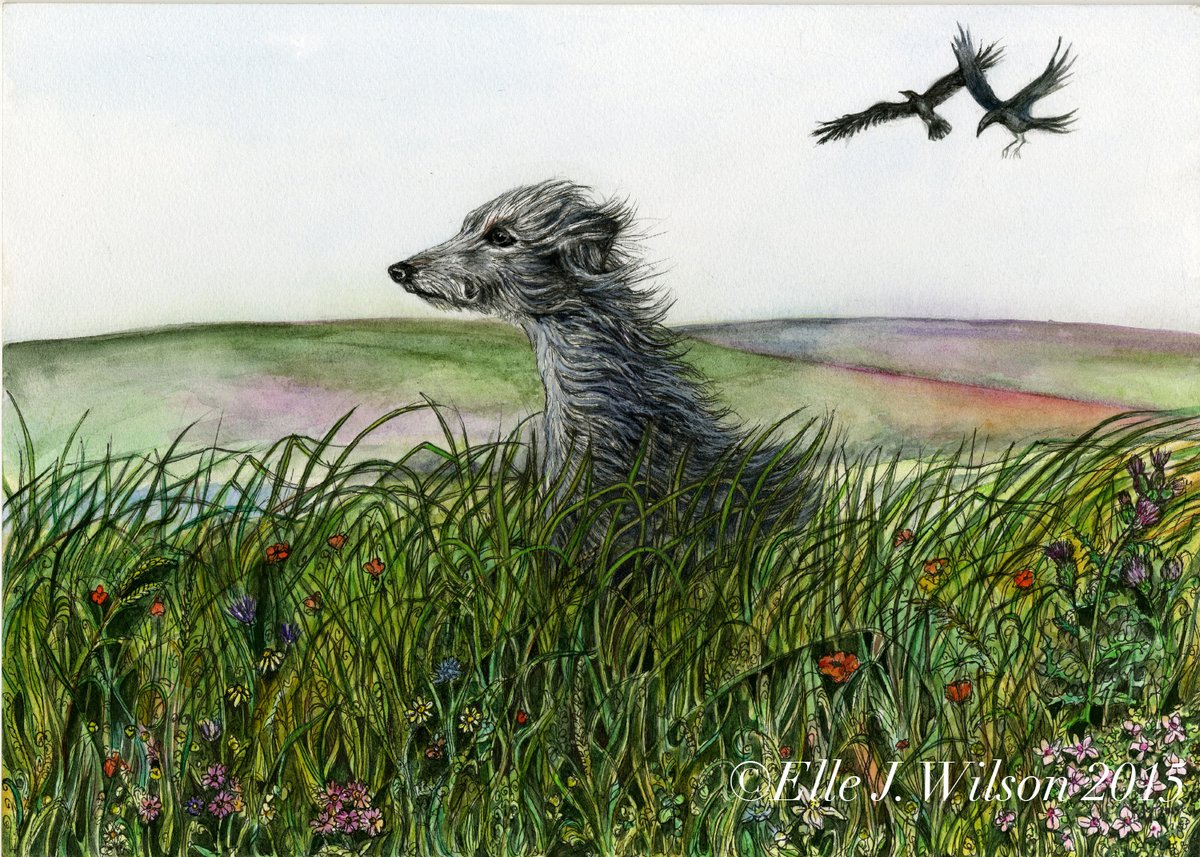 Elle Wilson 🐭 tweet media