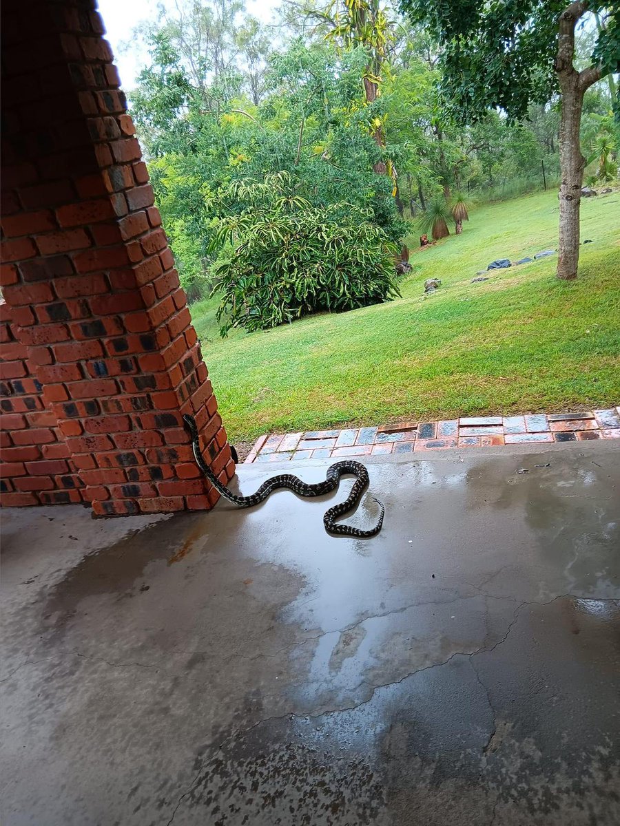 Chidi ❤️ tweet media