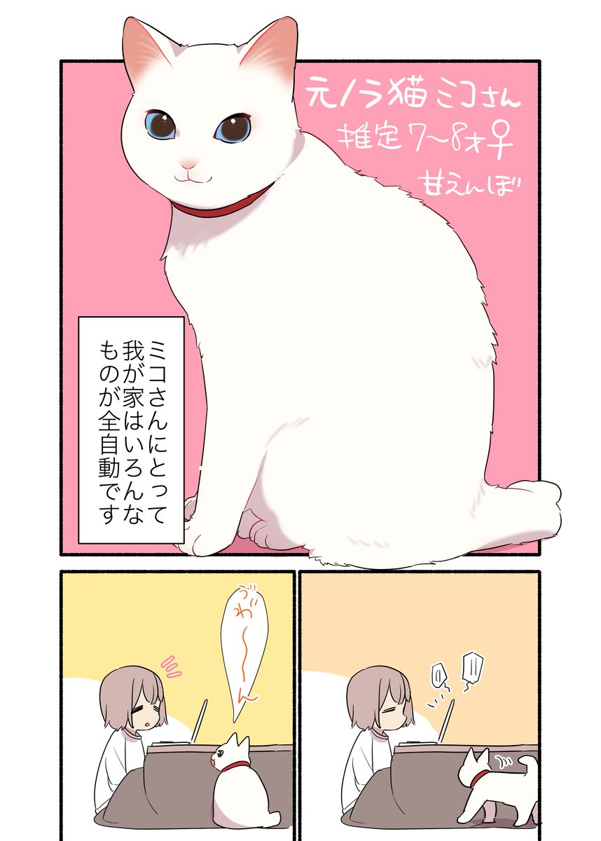 🐈猫のために家の諸々を全自動にしてる話🤖💻 (1/2)  #漫画が読めるハッシュタグ #愛されたがりの白猫ミコさん