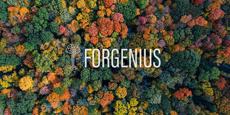 Webinar obert <a href="/FORGENIUS_EU/">FORGENIUS</a>: Innovació en el seguiment dels arbres: tecnologia satèl·lit d'avantguarda i IA per a una avaluació exhaustiva.
Dimecres 31 gener, 14:00.
Més info -> eventbrite.fi/e/forgenius-pu…