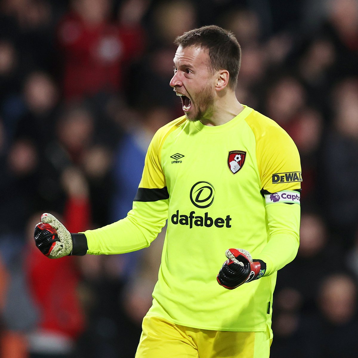 AFC Bournemouth 🍒 tweet media