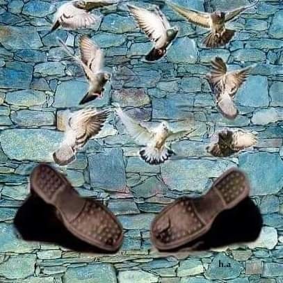 Bu karanlık gericiliğin yüzüdür. ❗
Karanlıklara alışalım istiyorlar. ❗
Bir insan vurulur, tüm insanlık ölür. Karanlıkta işlenen cinayettir bu ❗
17 yıl oldu Malatyalı #hrantdink öleli.
Katilleri aramızda dolaşıyor❗
Koyu, kopkoyu acı bu❗