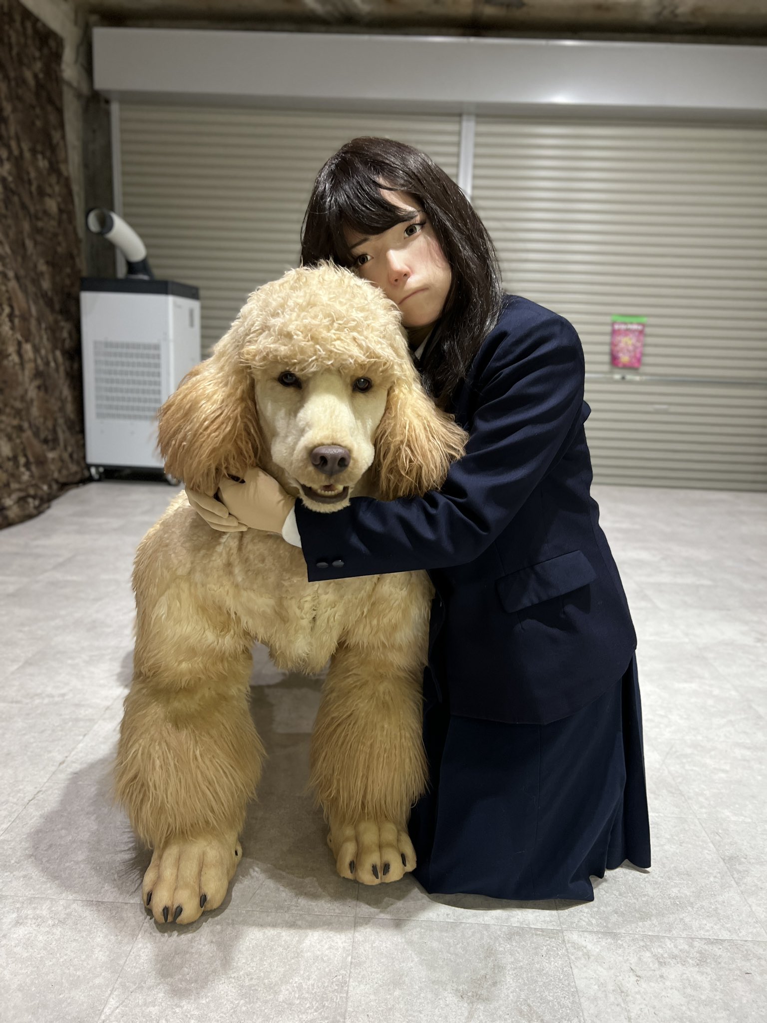 SALEで更にお買得 motti on X:  ぬいぐるみ