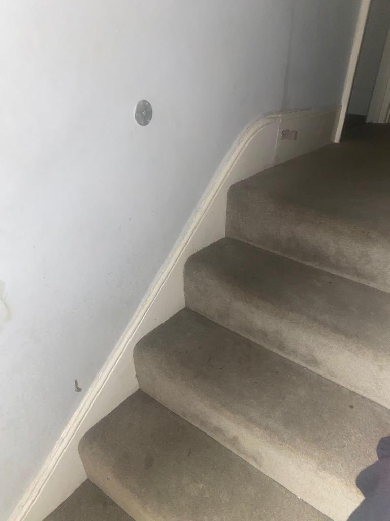 Absolutely disgraceful a #carer has been left by <a href="/CityWestminster/">Westminster City Council</a> to live in terrible conditions which includes SLUGS because of neglect and flooding <a href="/thameswater/">Thames Water 💧</a> and #Westminster #disabled children with #Medical conditions living in this! <a href="/HousingOmbuds/">Housing Ombudsman</a> #CerebralPalsy #Housing