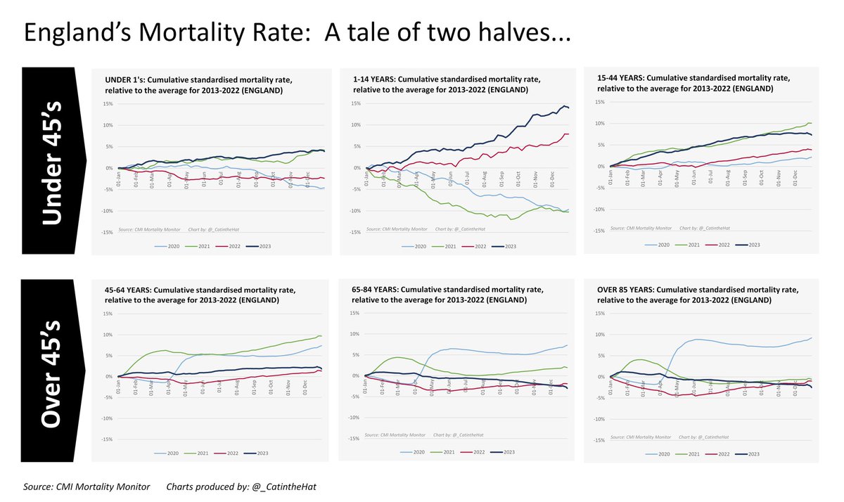 Cat in the Hat 🐈‍⬛ 🎩 🇬🇧 tweet media