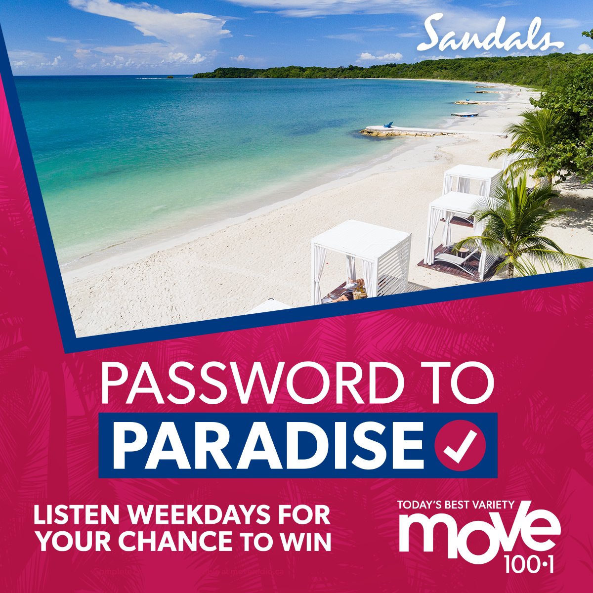 MOVE 100 tweet media