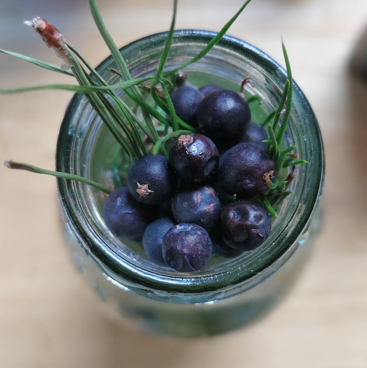 This was a tasty experiment and best use of a defunct Xmas tree yet: pine, honey, juniper soda ahoy!