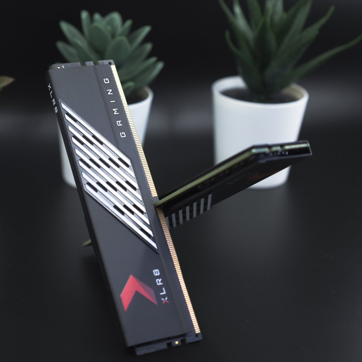 PNY_ANZ's tweet photo. Ready for the weekend gaming vibes? 🎮 What's your go-to genre: Action, RPG, Shooter, or Strategy?
#XLR8 #GameGenre #PNY #WeekendGaming https://t.co/2lv3VqagLV