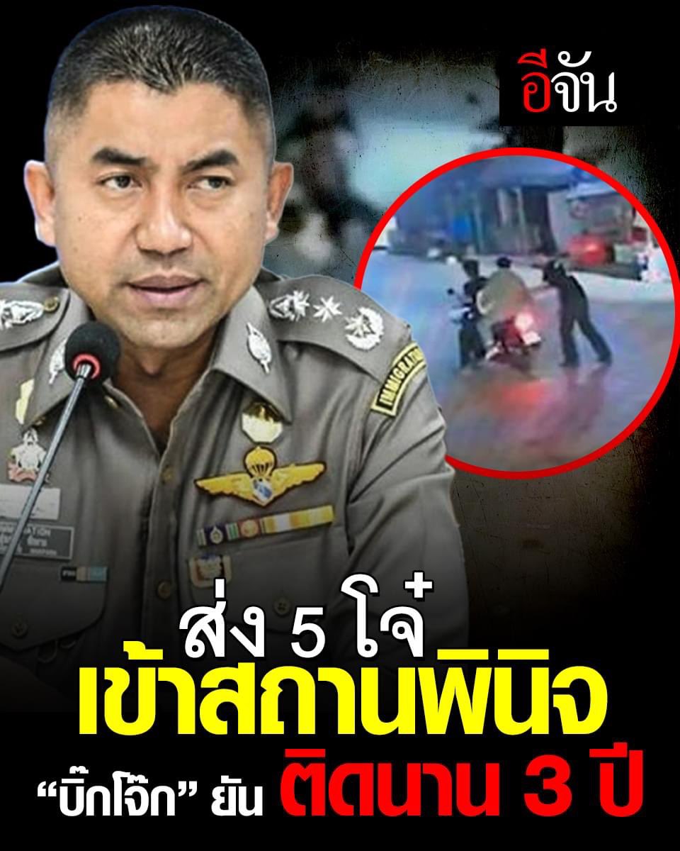 🎀🐰🌹🐻🐸🐶🐈‍⬛🐬 tweet media