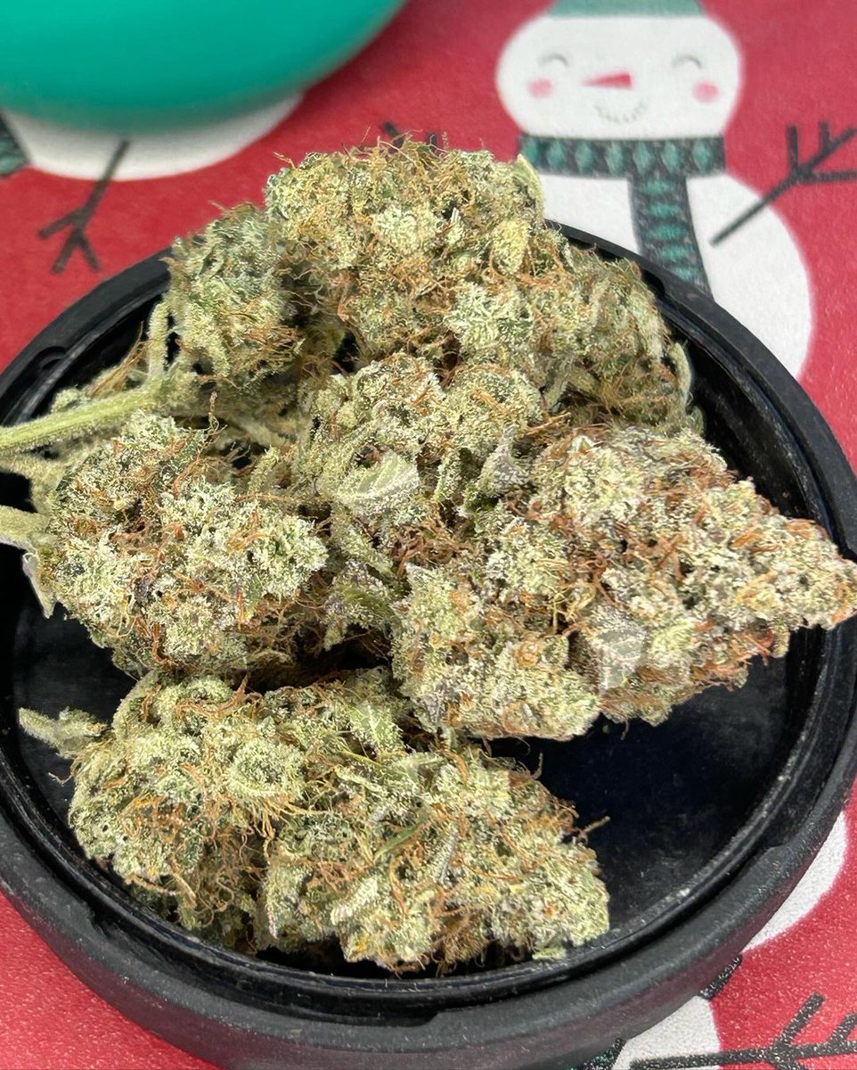 🚨Friday's giveaway!🚨
We are giving away:
+ 10 seeds of the award-winning Fast_Buds
 genetics  that are available on our official website
+ Epic Hoodie
+ Eco-friendly 420 Jar
+ Those special 420 Socks😉
+ Grower Gloves
+ Geotextile Pot
🚨Rules~
• Follow fast_buds
• Tag 3