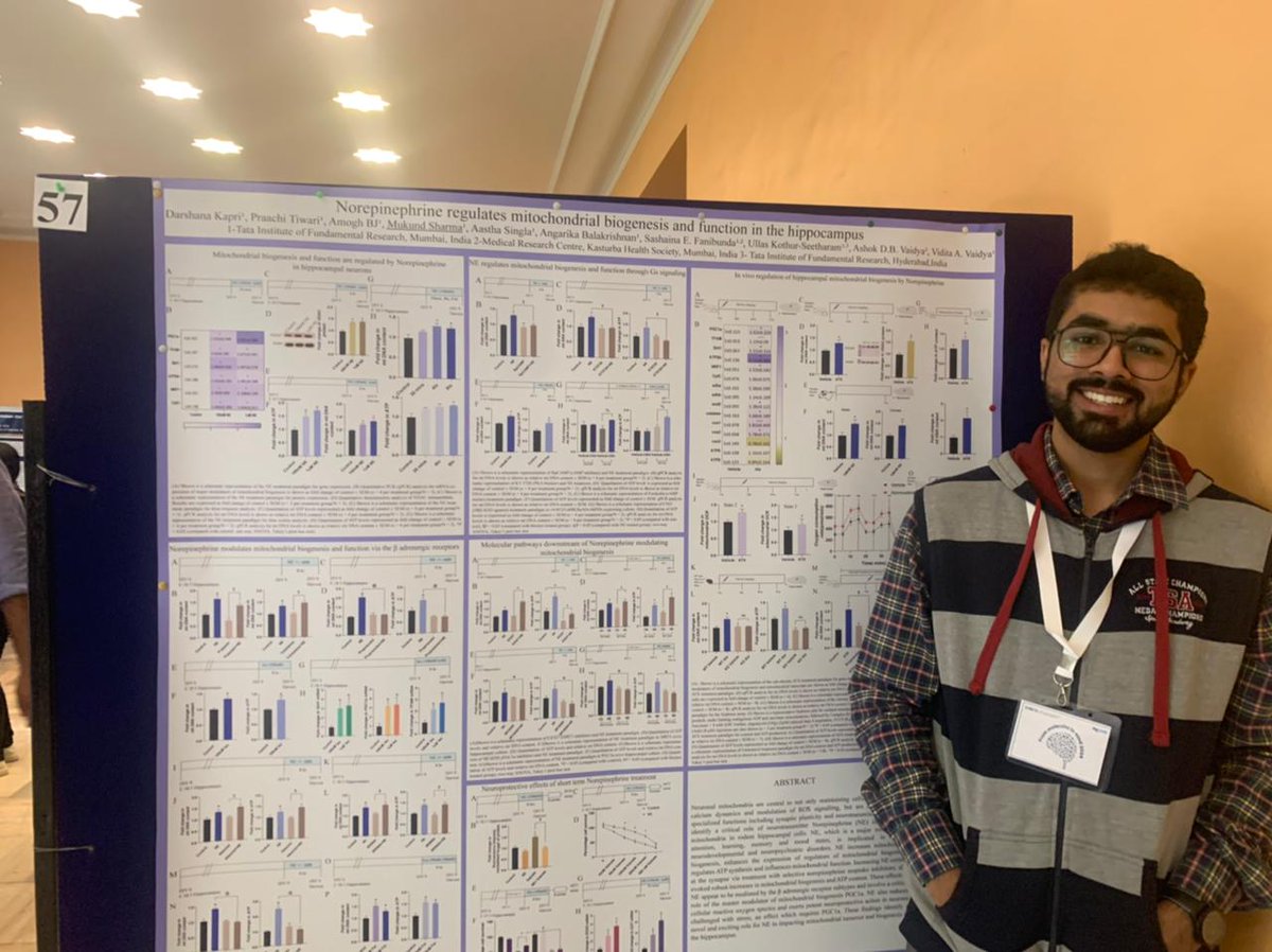 🚨 Poster Alert We visited board #57 at #frommoleculestomind to hear Mukund Sharma (@Mukundsharma23) from @TIFRScience present on 'norepinephrine regulated mitochondrial biogenesis and function in the hippocampus'. Did you? #neurotwitter