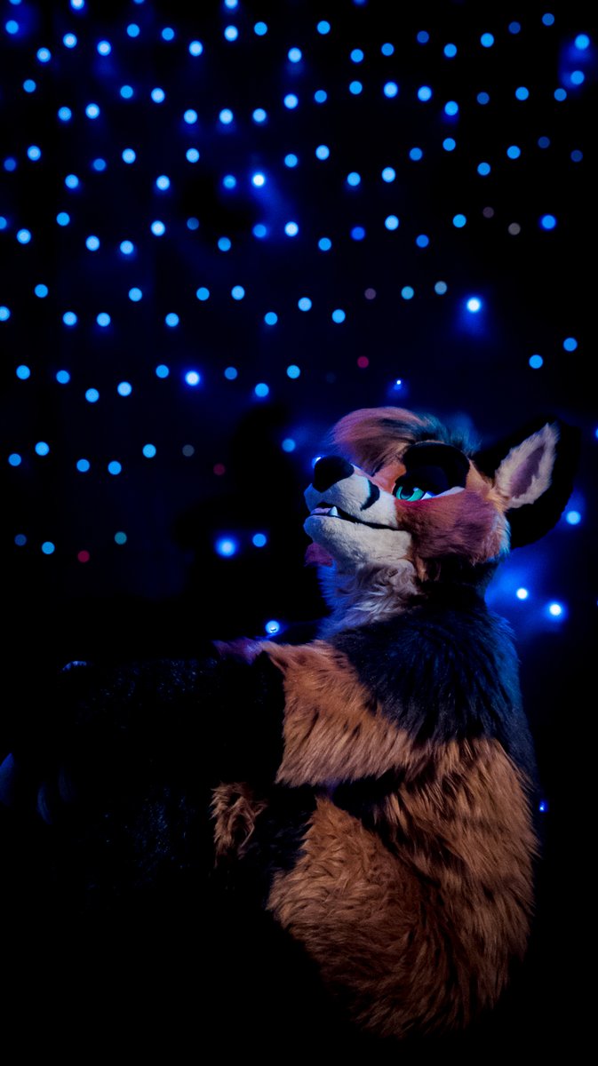 Ever stop to just, look at the stars? 🦊⭐️✨🌟🌙
Wanna come sit with a bigfox? I'll keep you warm :)

Happy #FursuitFriday folks! 

📸 @tavtavern