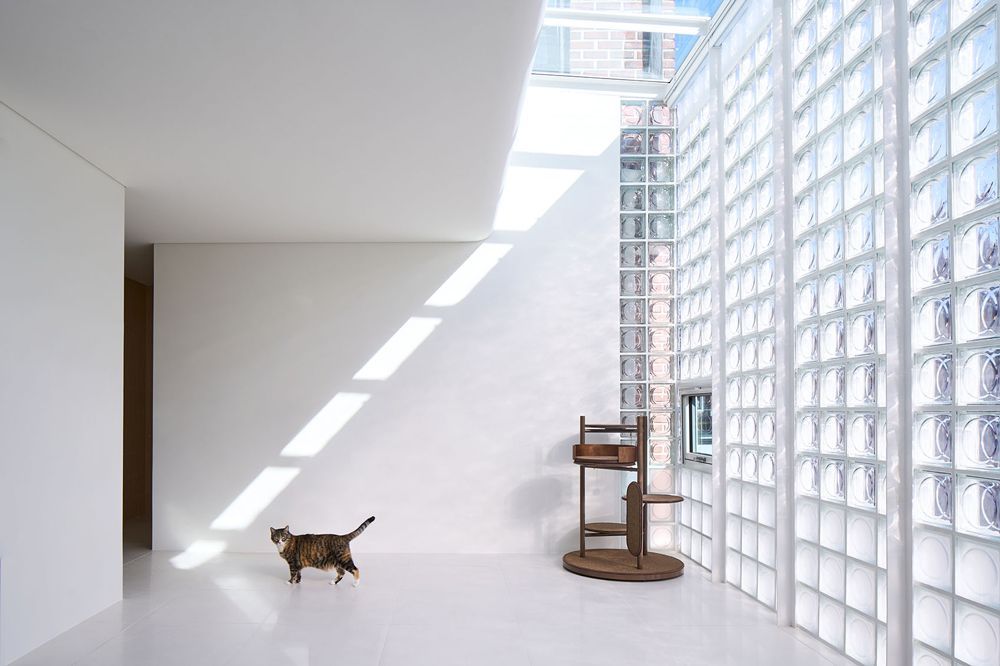 designboom's tweet image. glass block surfaces by studio heech enclose brick structure in seoul designboom.com/architecture/g…