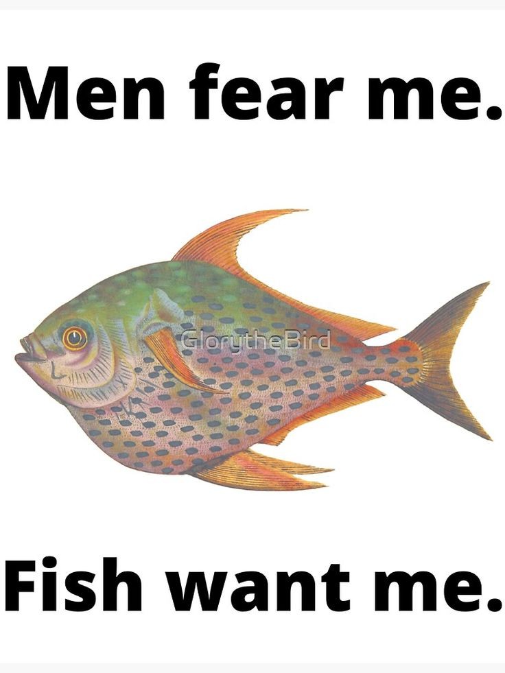 EvaCerisee's tweet photo. upcat results pls come thru,,, pinning this asta magwa na !! UPV FISHERIES PLSPLSPLS SANA MAPILI GULUGLUGULUGLU https://t.co/w7WjM4Kx9R