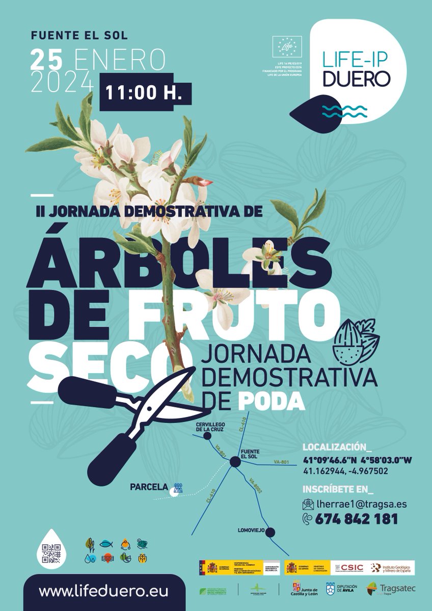 LifeIPDuero's tweet photo. 📣𝐏R𝐎́X𝐈M𝐀 𝐉O𝐑N𝐀D𝐀 𝐃E𝐌O𝐒T𝐑A𝐓I𝐕A D𝐄 𝐏O𝐃A  de #arboles de #frutoseco
✅3ª #poda de formación 
✅Pino piñonero, almendro, pistacho y nogal
✅Visita nuestra parcela piloto y conoce sus variedades
#Valladolid #Salamanca #Ávila #MedinaDelCampo  #Tordesillas #Arévalo https://t.co/tOCpV76FPb