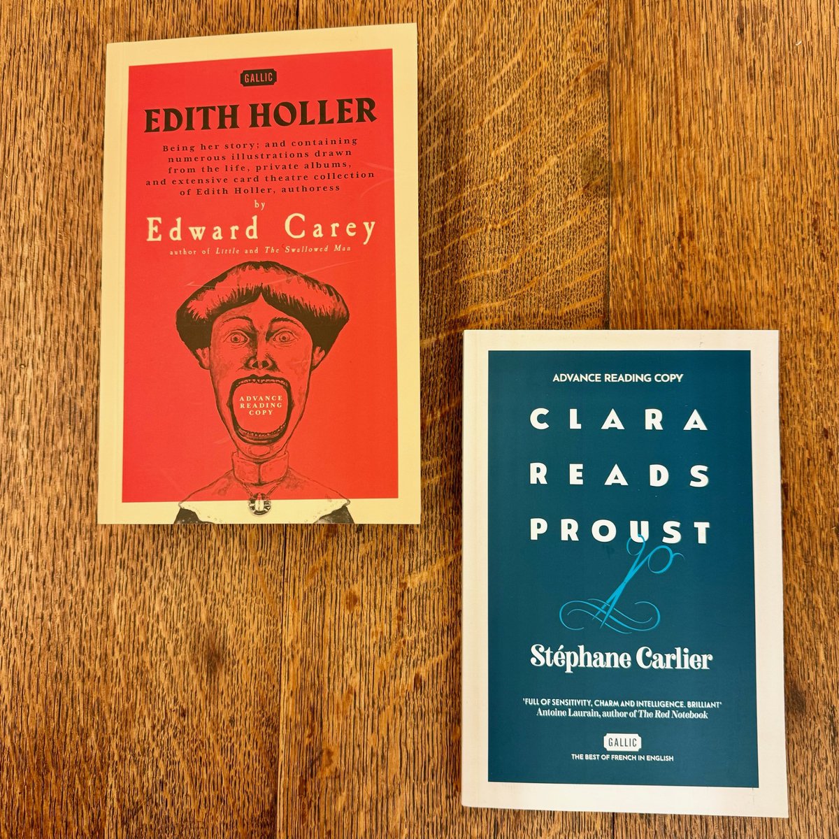 CogitoBooks's tweet photo. Absolutely thrilled to receive these proofs from @GallicBooks: #EdithHoller and #ClaraReadsProust Both look brilliant and @EdwardCarey70 is such a favourite, we never tire of recommending 'Little' to customers. 🖤 #newfiction #springreads #newfor2024 #literaryfiction #mynextread https://t.co/UOiS91Zwty