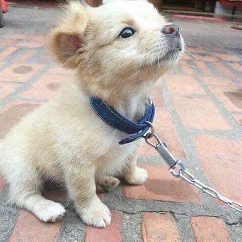 Do ya think l'm a pretty baby ?